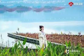 《我们在梦开始的地方》热播，主演直播分享农家美食图片