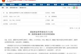 枣庄11个村获国家级称号图片