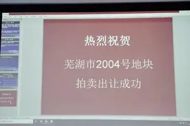 好事成双！鸠江区大龙湾两宗地成功出让图片