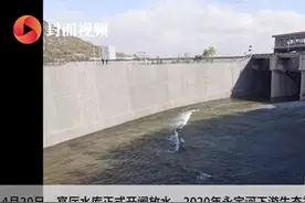 水利部：官厅水库正式开闸放水 将通水至北京大兴机场图片
