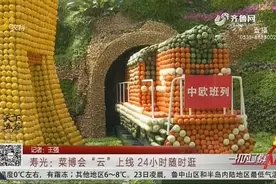 寿光菜博会玩出“云逛会”新花样，西红柿苗长成树，24小时随时逛视频封面