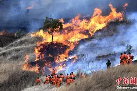四川西昌樟木箐镇境内突发山火图片