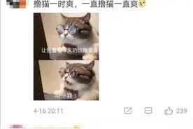 暖心！学霸打造“北大流浪猫图鉴”火到教学网一度崩溃……图片