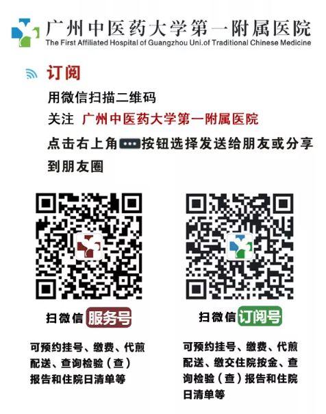 花胶鲍鱼炖瘦肉的功效与作用 2026年花胶鲍鱼炖瘦肉的功效与作用是什么