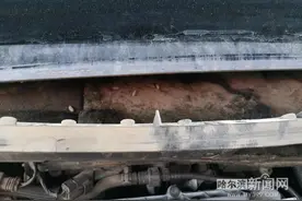 居家俩月没开车遭鼠害了丨保险给赔吗？图片