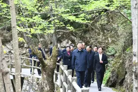 直与天地争春回——记习近平总书记在陕西考察图片