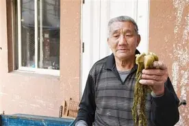 80岁黄仁叨 3年腌20万斤咸菜图片