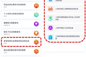 上海又有17个事项可“随申办”不见面办理，民政事项有5个噢图片