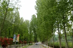 “自助式农家院”是个什么样？来鲁山县黄沟村来看看图片