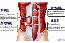 20个虐腹动作，打造完美腹肌形态，你都有练吗？图片