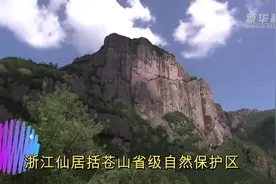 浙江仙居括苍山发现珍稀濒危野生动物“中华斑羚”视频封面