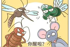 家庭消杀小贴士，拒绝和蟑螂、蚊子同居图片