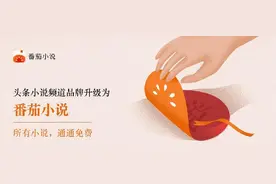今日头条小说频道更名“番茄小说”，独立App日活过千万图片