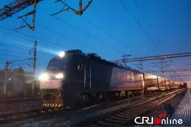 武汉中欧班列恢复常态化运营 出口订单持续增加图片
