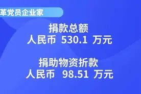 “浙”风挡雨｜浙江民革党员企业家战“疫”纪实图片