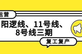 关注｜阳逻线、11号线、8号线三期恢复运营图片