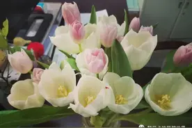 贝壳分享｜| 美呆了！这是港风美人啊图片
