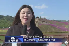 锦绣潇湘·遇见安化｜茶乡花海游玩小攻略图片