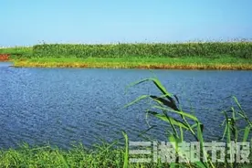 拆围一年多，沅江下塞湖重现湖光潋滟图片