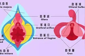 女性私密也会“发出声音”，女性必知的10个生理知识图片