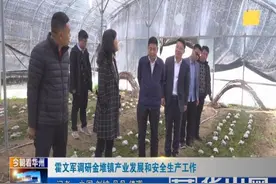 霍文军调研金堆镇产业发展和安全生产工作图片