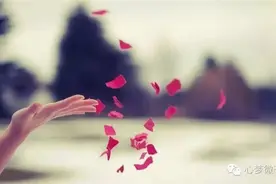 燕子｜一切都是最好的安排图片