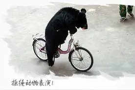 停止动物表演，支持请转图片