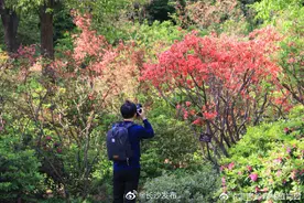人间四月芳菲尽，风景这里醉美时图片