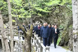 “秦岭违建是一个大教训”，教训在哪？图片