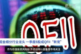 中国财富报道｜外资掘金细分行业龙头 一季度8股成QFII“新宠”视频封面