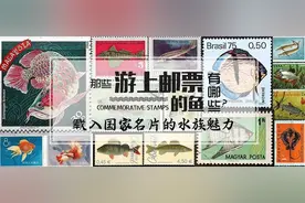 太美了……那些游上邮票的鱼儿图片