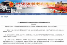 驻西班牙大使馆：协助无人陪读的小留学生等搭乘临时航班回国图片