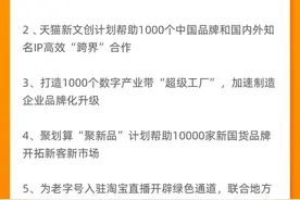 阿里巴巴升级新国货计划：天猫每天孵化一个国货新品图片