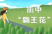 厦门“街花”出炉！不在岛内在这里图片