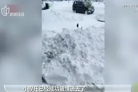 “高的地方有1米多深”！齐齐哈尔四月突降暴雪，居民雪堆中挖车视频封面