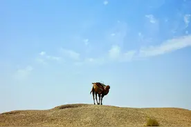 世界文化遗产：玉门关，一片孤城万仞山图片