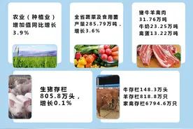 一季度陕西经济运行数据看这里图片