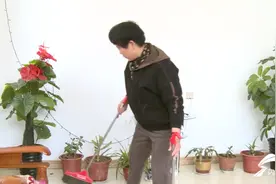 威海市环翠区温泉镇：村村争创美丽村 户户争当示范户图片