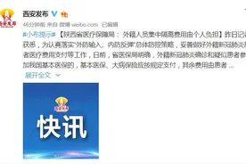 陕西省医疗保障局：外籍人员集中隔离费用由个人负担图片