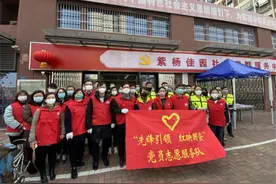 秦淮区紫杨佳园社区开展“红+蓝大扫除”志愿服务活动图片