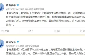 青岛黄岛区小珠山山林火灾全部扑灭 无人员伤亡图片