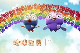 地球生灵 | 飞鸟集图片
