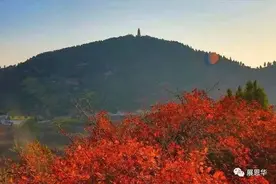 玫瑰镇赋图片