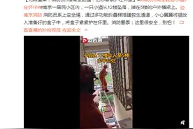 无限温柔！消防员5楼高空救猫：把你紧紧护在怀里图片