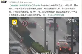 婆婆遭儿媳嫌弃高速逆行回老家 称被嫌不讲卫生图片