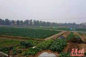 湘东篇：尝红薯做豆腐，在动手中感受乡游乐趣图片