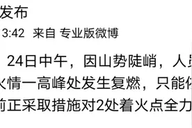 青岛小珠山山林火灾复燃，救援人员目前正对2处着火点全力扑救图片