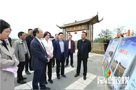 周德睿赴桃花源调研时要求 把桃花源乡村振兴示范片区打造成景区的延伸带图片