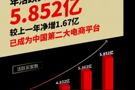 拼多多发布2019年年报：现金储备410.6亿元 将斥巨资支持上海市“五五购物节”图片