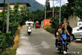 1017原产地 | 直播！min甜的冕宁“恩桃儿”正在摘！买它图片
